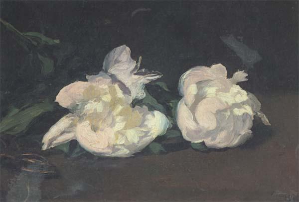 Edouard Manet Branch of White Peonies and Shears (mk40) oil painting picture